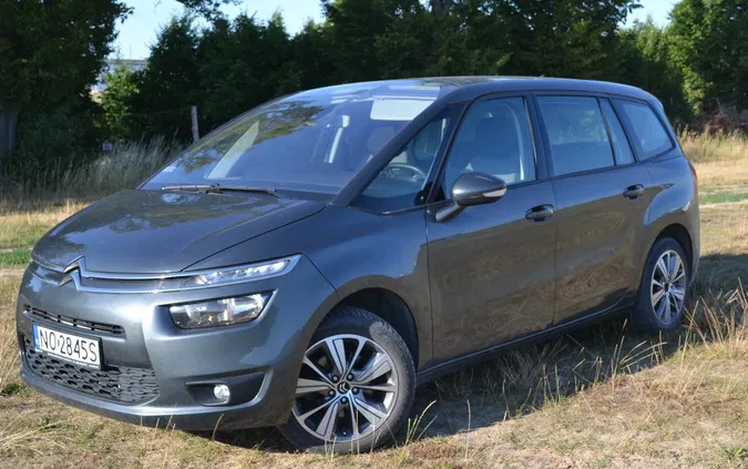 Citroen C4 Picasso cena 38000 przebieg: 205000, rok produkcji 2015 z Brodnica małe 121